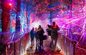 Christmas at Bute Park